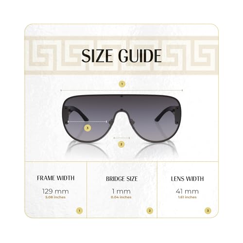 Versace VE2166 Aviator Sunglasses For Men For Women +BUNDLE with ACCESSORY EYEWEAR KIT4