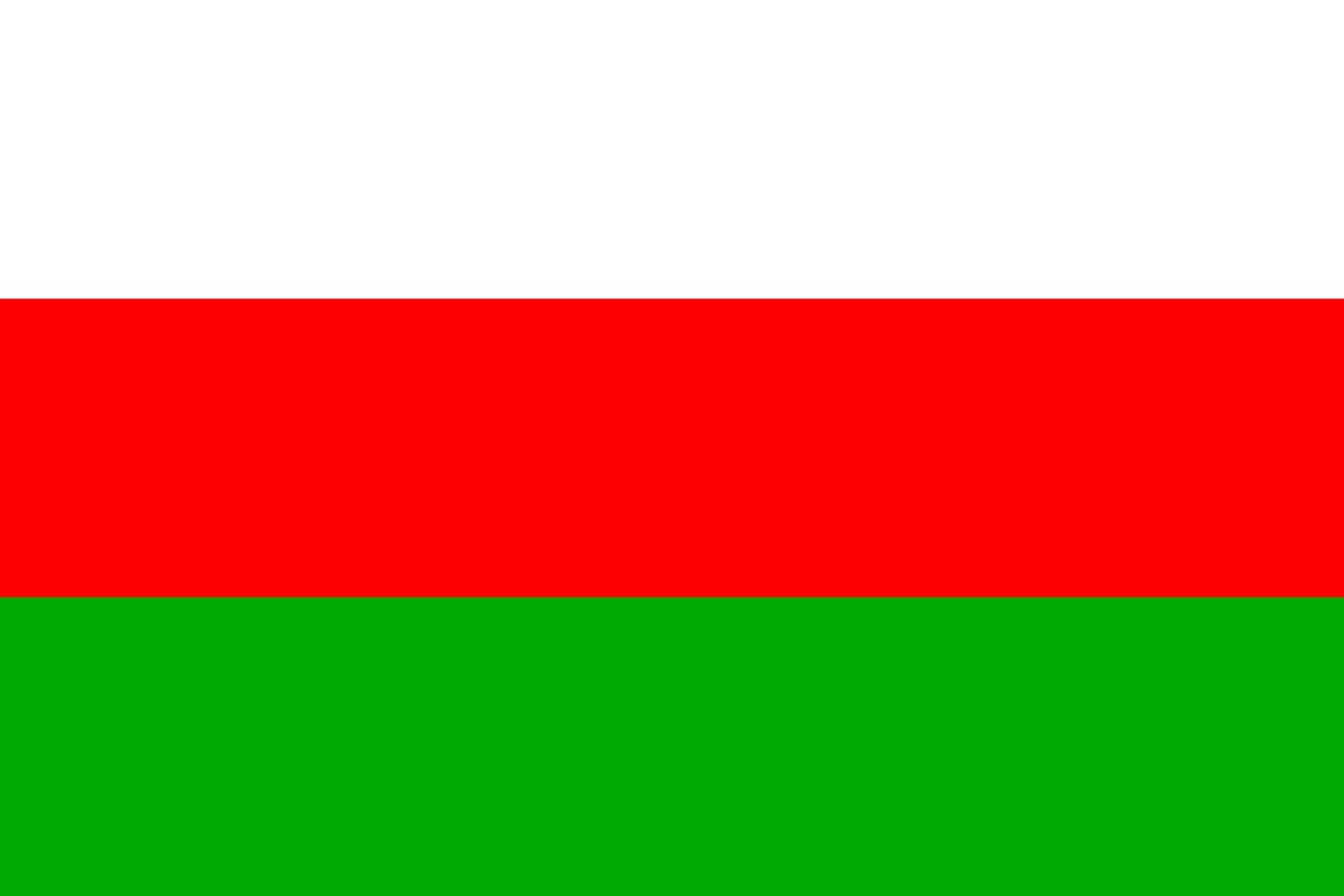 Drapeau Prague 9 idéal pour pavoiser vos cérémonies de quartier