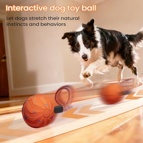 Balle mobile interactive pour chien idéale en intérieur et extérieur - 5