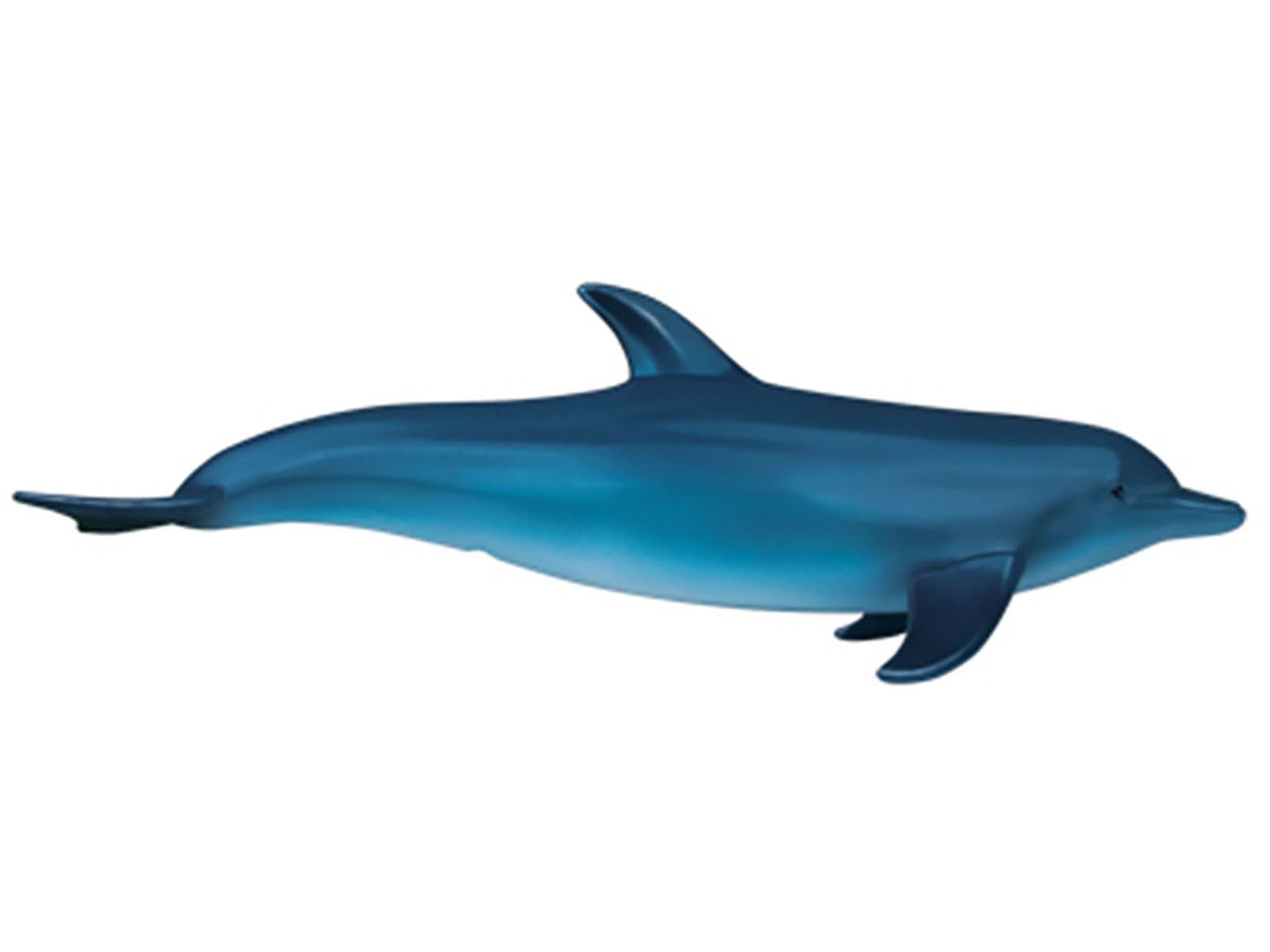 Modelo Anatómico 4d De Delfín, Modelo De Esqueleto Y Órganos del Delfín con Partes del Cuerpo Extraíbles, Modelo Didáctico De Anatomía Animal para Biología, Educación Veterinaria Y Demostraciones