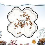 Réutilisable et Robuste : Grâce à sa résistance à la déformation élastique, le récipient de nourriture avec cadre métallique assure une utilité de longue durée. C'est le choix idéal pour une utilisation répétée sans que son intégrité structurelle ne soit compromise, lors des soins habituels ou en voyage.