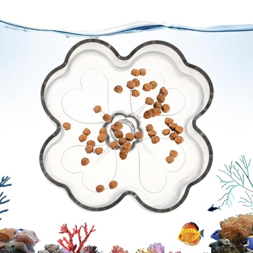 Alimentador de peces – Bandeja de alimentación en forma de con para acuario, para comida transparente para peces, apta para tortuga betta camarones casa oficina agua salada y agua dulce