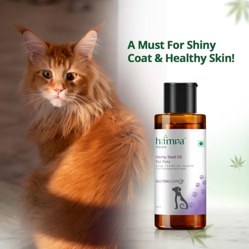 Image of Hampa Hemp Seed Oil for Pets-50 ml | Wholesome Nutrition for pet Dog, Cat | Rich in Omega 3, 6 & Antioxidants | Maintains Healthy Skin & Boost Immunity | Helps in Pain Relief, Stress Calming, Anxiety