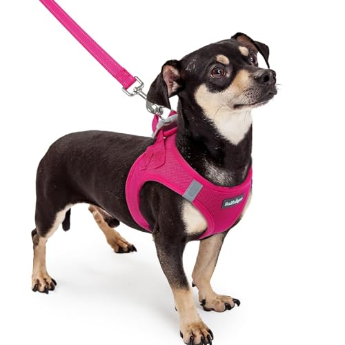 Image of rabbitgoo Dog Harness Small Sized and Leash Set, Step-in Puppy Pet Vest