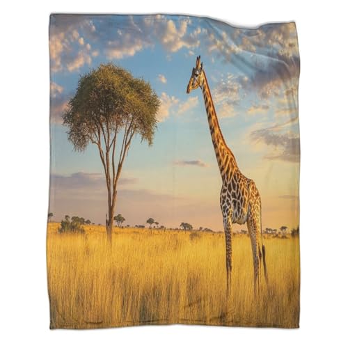 kaiyun Jirafa Standing in The Savannah Manta Estampada Cálida,para Acampar Al Aire Libre Colcha Patchwork Hierba Alta y Acacias Ligera para Sofá Cama 50x60inch(127x152cm)