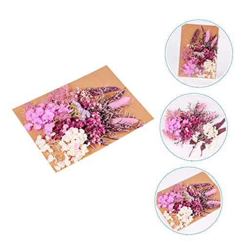 Kit de flores secas para manualidades DIY STOBAZA miniatura 5