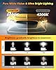 Termitor D3S Xenon HID Headlights Bulbs, 500% Enhanced Brightness, 6000K 35W Cool White High/Low Beam, Replacement 66340 42403 42302, IP68 with Metal Base, Plug and Play, Pack of 2 #4