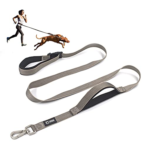Top 10 Best Kong Hands Free Leash Reviews & Buying Guide Katynel