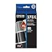 Epson T273XL120 Clarian Premium Photo black High Capacity Cartridge Ink