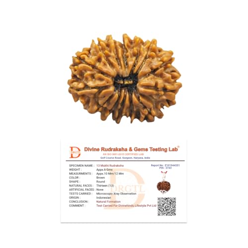 Image of Divine Hindu Authentic 13 Mukhi Rudraksha Bead (Lab Certified) - Original Thirteen Face Nepali Rudraksha for Success, Charisma & Kaamdev Blessings - Natural Brown Prayer Bead for Men & Women