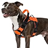 WINGOIN Orange Tactical Dog Harness for Medium Dogs, Heavy Duty No Pull Dog Harness with Handle, Adjustable Reflective Military K9 Pet Vest for Pitbull, Female, Male, Walking, Training, Hunting (M)