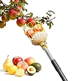BlumeTrec 13.5FT Fruit Picker, Apple Picker Tool with Adjustable Pole and Basket, Long Reach Mango Grabber Tool, Tree Fruit Catcher for Picking Lemon Pear Orange Avocado Peach Citrus