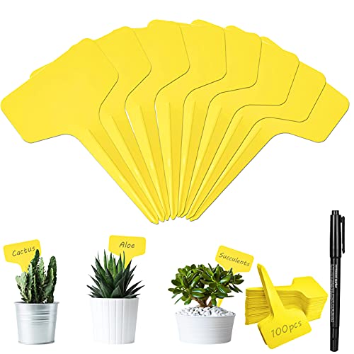 Étiquettes de Plantes,100 Pieces Etiquettes de Plantes T-Type,Etiquette Potager de type T,Garden Etiquettes,T-Type Etiquettes en Plastique,pour Graines Pot Herbes Fleurs Légumes Cover