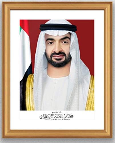 الصورة الرسمية لصاحب السمو الشيخ محمد بن زايد آل نهيان (GOLD Ornate)