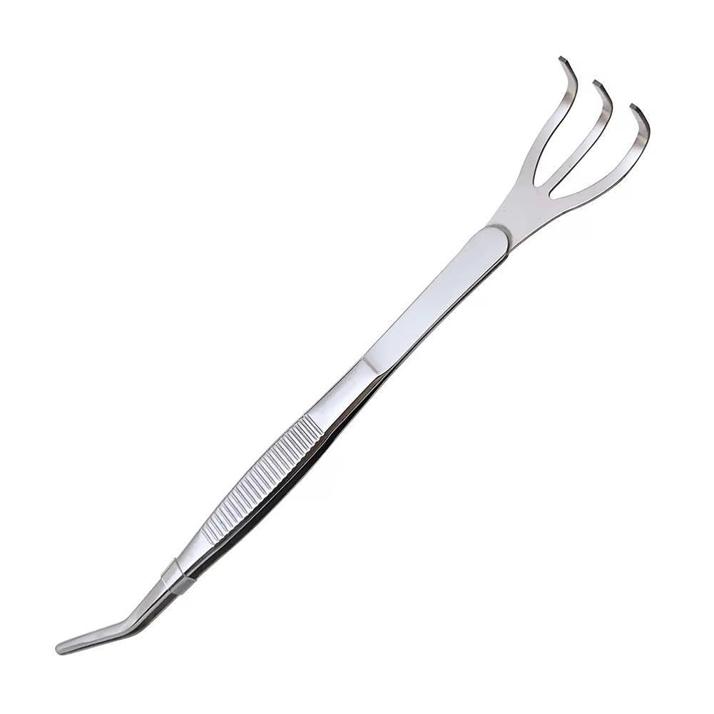 Pince à épiler 2 en 1 pour bonsaï, outil de jardinage, râteau à racines, grattoir pour plantes, outils pour plantes