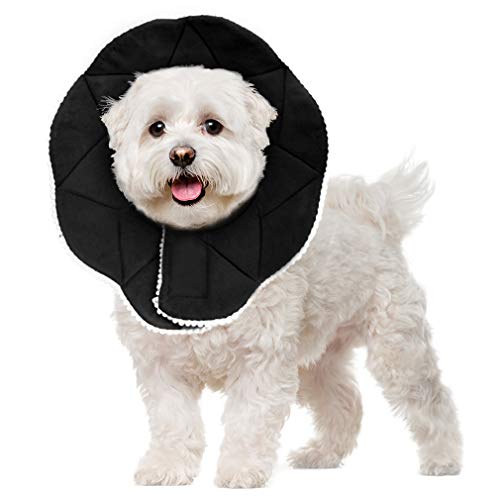 SunGrow Soft Cone for Dogs