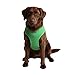 Puppia Soft Dog Harness No Choke Over-The-Head Triple Layered Breathable Mesh Adjustable Chest Belt and Quick-Release Buckle, Green, XX-Large
