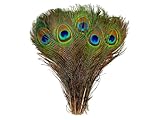 Moonlight Feather | 50 Pieces Natural Green Feathers - 10'-12' Natural Green Wholesale Peacock Feathers for Halloween and Wedding in Bulk