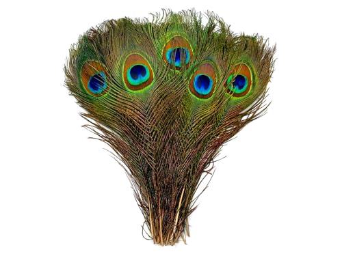 Colorful Goose Feathers, for DIY Craft Wedding Home Party Decorations 20pcs/pack/ (6--9.5 inch) (White & Royal blue)