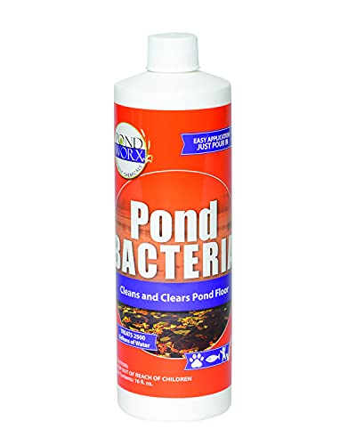 Pondworx Pond Bacteria - Formulated for Water Features and Safe for Koi - 16 Ounces