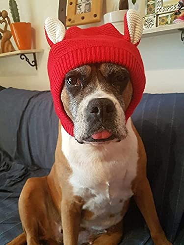 Orecchie silenziose per cani, paraorecchie per la