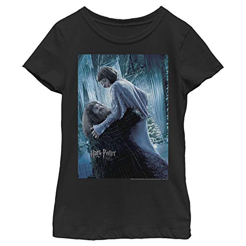 Image of Girl's Harry Potter Hagrid and Madame Maxim Character Poster T-Shirt