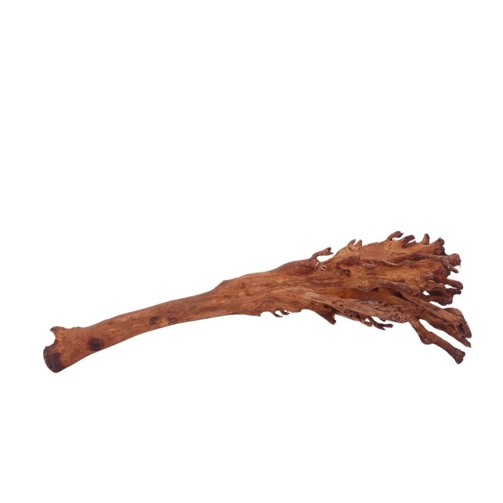 AquaOne Aquarium Wurzel M Jungle Wood Nr.4459 Aquarium Wurzel Holz Deko Aquascaping Dekoration Landschaft Moos Natur Echtholz
