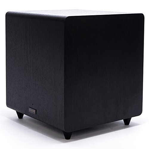Pioneer Elite SW-E10 Andrew Jones Home Audio Subwoofer, 300-Watts