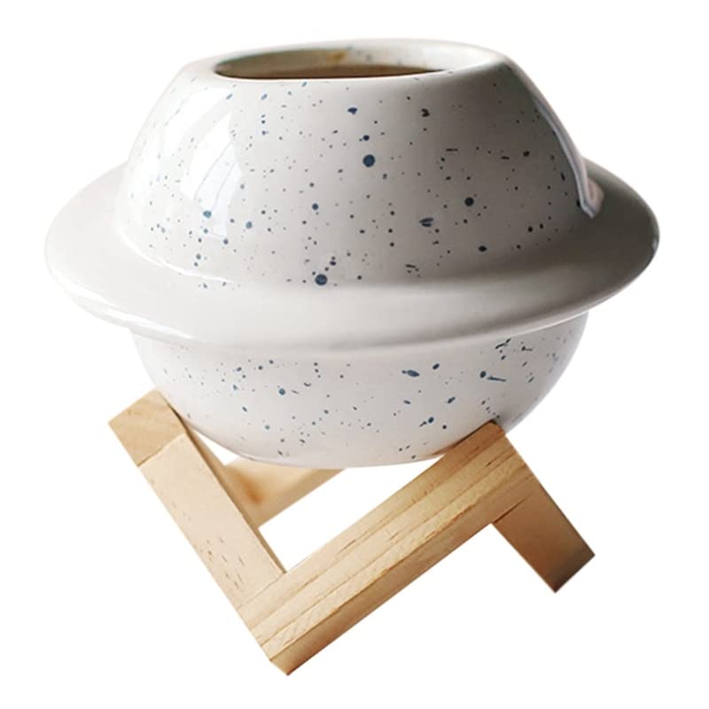 Pots succulents en céramique blanche, le cadeau idéal pour décor de bureau