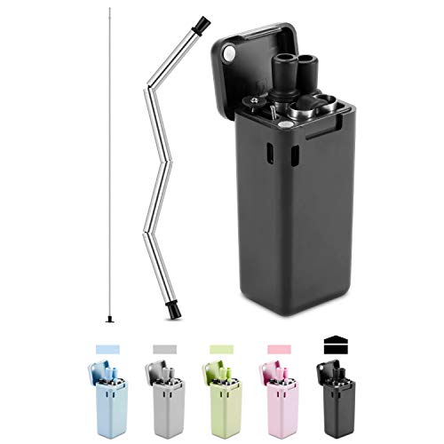 Qisiewell Pailles en acier inoxydable réutilisables pliables avec porte-clés, brosse de nettoyage Noir