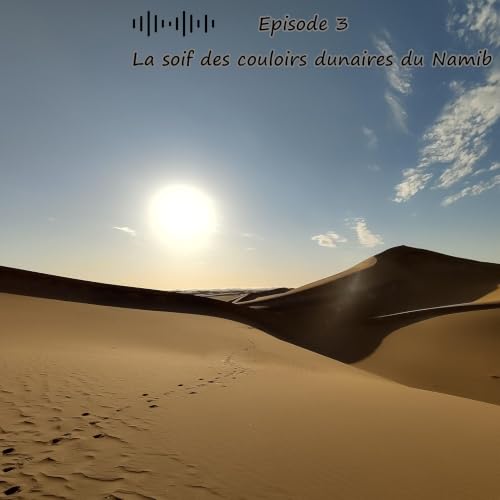La soif des couloirs dunaires du Namib