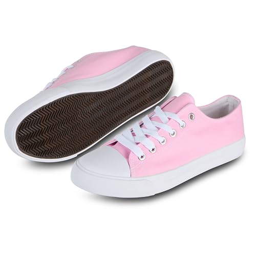 hello basics LoXV[Y fB[X JWA [gbv Xj[J[ t@bV fB[X ejXV[Y 풅p, CgsN, 24.5 cm