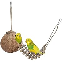 Niteangel - Escondite de Coco 100% Natural con Escalera, pájaro
