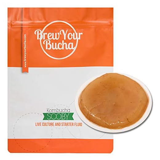 Brew Your Bucha Kobucha SCOBY con Starter Fluid. SCOBY cultivado con azúcar y té de oro negro Yunnan (1 SCOBY)