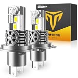 Termitor H4 Fog Light Bulbs