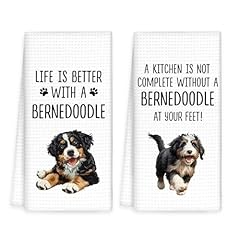 Bernedoodle