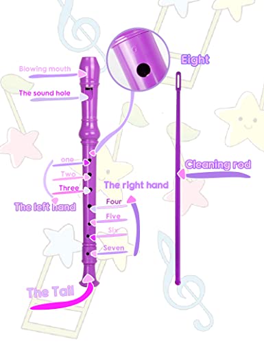 Image of Mr.Power Soprano Recorder C Key 8 Hole German Fingering Clarinet ABS Music Flute Present for Beginner Graduation School Education Family (Purple)