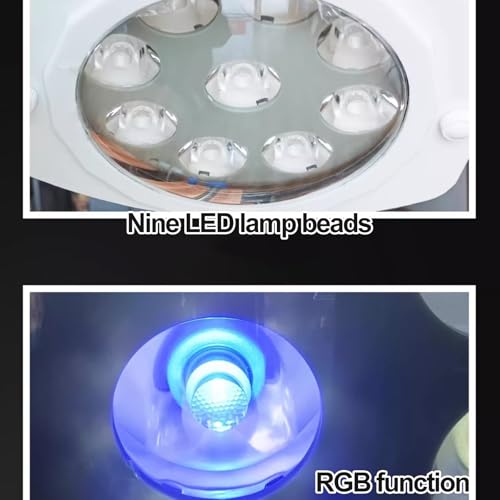 Lampe d'examen médicale anti-fatigue oculaire à intensité variable avec 9 LED