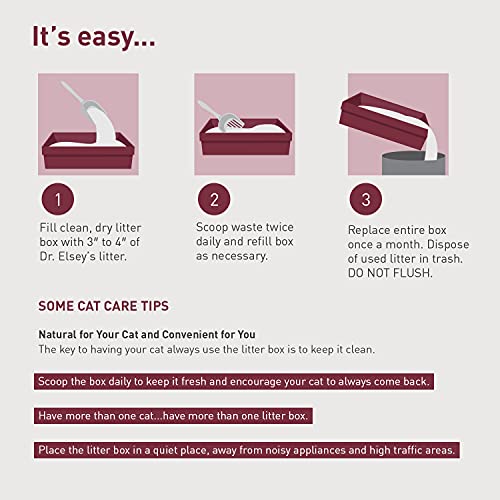 Dr. Elsey's Classic Unscented Clumping Clay Cat Litter 18 lb. Bag