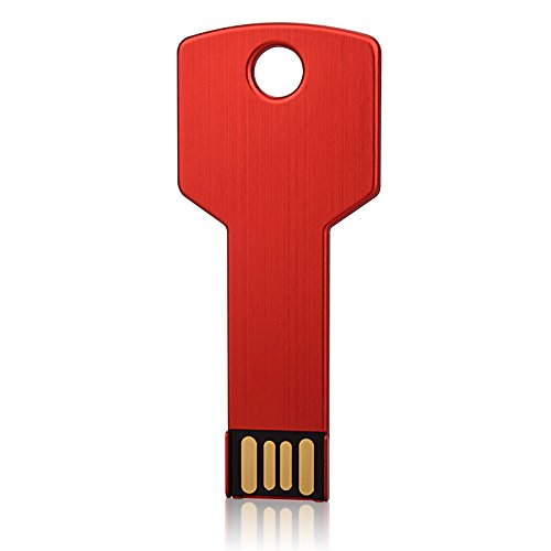 Raoyi 10 Pack 4Gb Usb Flash Drive Usb 2.0 Metal Key Shape Memory Stick Thumb Drive Pen Drive-Red #TOP2
