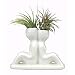 NW Wholesaler - Air Plant Little People Air Plant Holders -"Back to Back" Ceramic Desktop Planters for Air Plants and Other Mini Plants