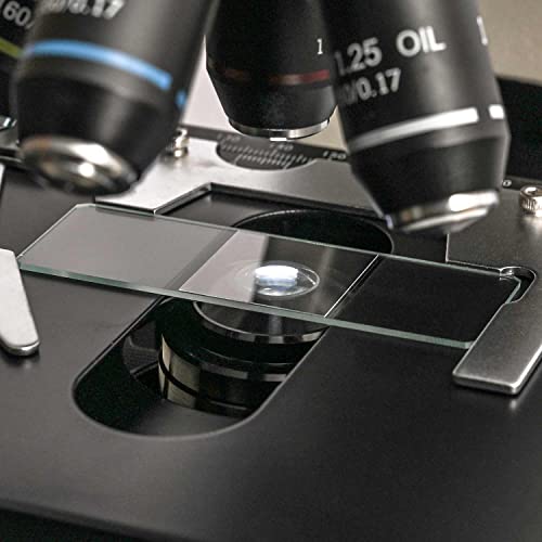 Hsl Microscope Slides And Covers,24X24Mm Square Cover Glass 100Pcs And 50Cps Blank Ground Edge Glass Slides For Monocular Binocular Trinocular Microscope Lab Coverslips Cover Slips Kids Adults #TOP6