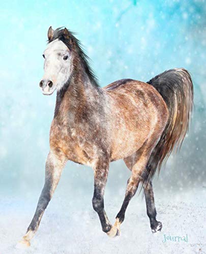  Journal: Grey Welsh Pony