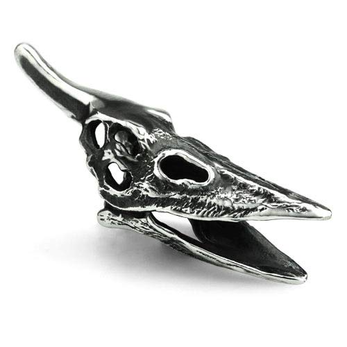 Ohm Pteranodon czaszka i kości krzyżowe Aaa086
