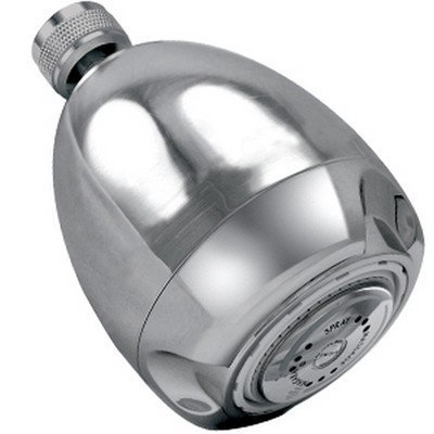 Earth Massage Showerhead Flow Rate: 2 GPM, Finish: Chrome