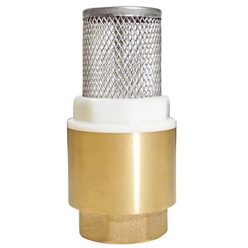 VALVULA FUNDO POCO ROSC METAL 3/4' RAYCO