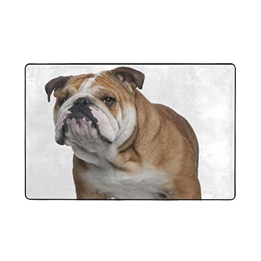 Engelsk-bulldogg mjuk känsla kort lugg matta halkskydd matta vardagsrum stora mattor modernt golv sovrum stor storlek fäller ej 150 cm x 100 cm