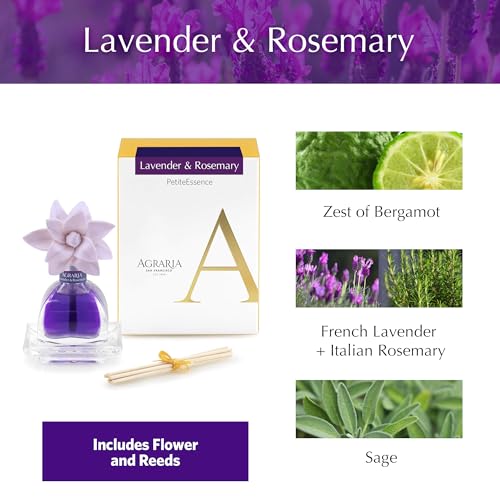 AGRARIA PetiteEssence Flower and Reed Diffuser Set, Hand Crafted Sola Flower Botanical Home Fragrance Set, Scented Oil Gift for All Occasions - Image 4