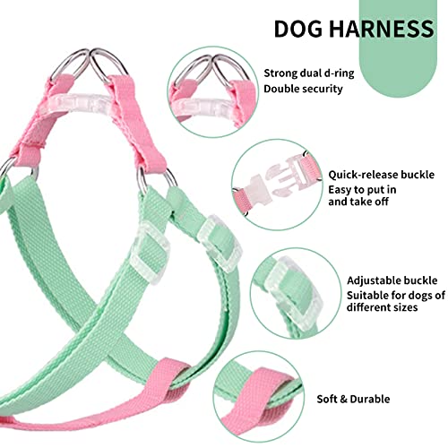Aiitle Easy Walk Dog Halter Harness - No Pull Dog Harness Collar Leash Set With Padded Handle - No Choke Escape Proof Cute Pet Harness For Small Dogs Green-Pink S #TOP4