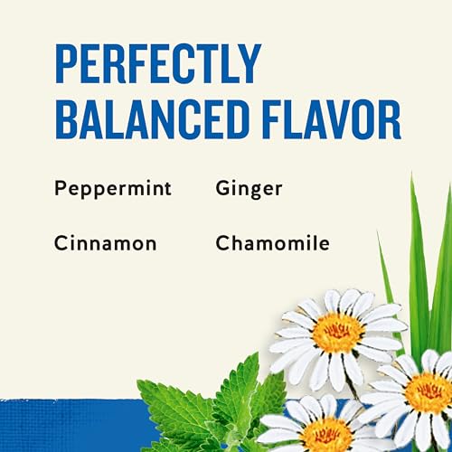 Celestial Seasonings Tension Tamer Herbal Tea, Caffeine Free, 20 Tea Bags Box, (Pack of 6) - Image 4